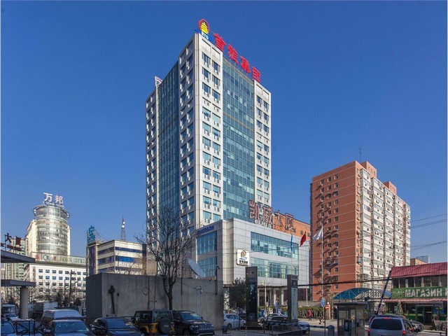 辽宁牵牛花采购基地